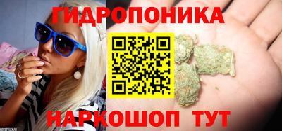 гашик Гатчина