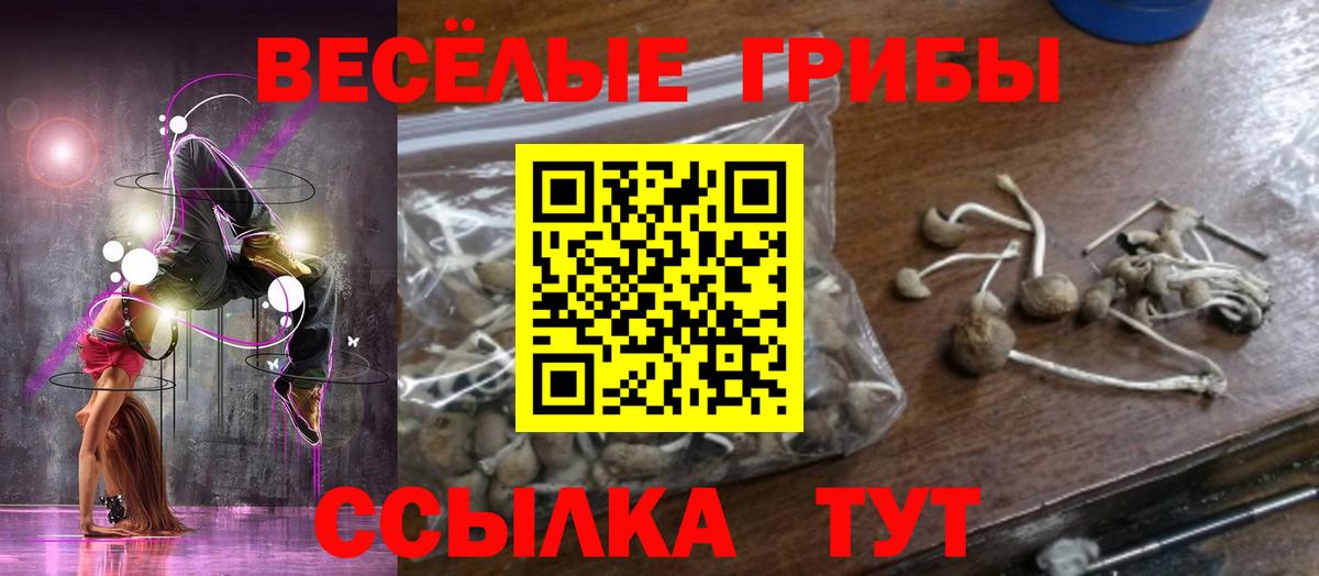 Галлюциногенные грибы MAGIC MUSHROOMS  Псилоцибиновые грибы MAGIC MUSHROOMS  Вход с VPN  купить  цена  Новочеркасск 